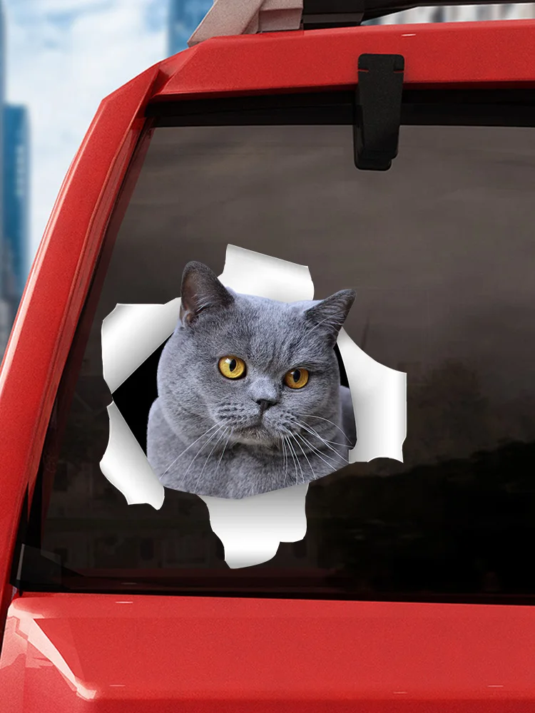 S50551# Various Sizes Personality PVC Decal British Shorthair Cat Waterproof Car Sticker on Motorcycle Laptop Decorative