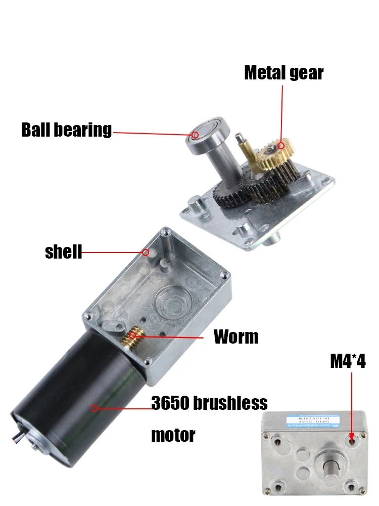 Imagem -05 - Brushless dc Gear Motor Linha sem Freio 58403650 Velocidade Ajustável cw Ccw Ângulo Direito High Torque Motor 12v 20w 24v 30w