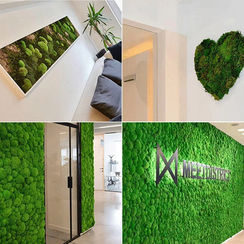 50g/bag High quality artificial green plants immortal fake flower Moss grass home decorative wall DIY flower grass accessories