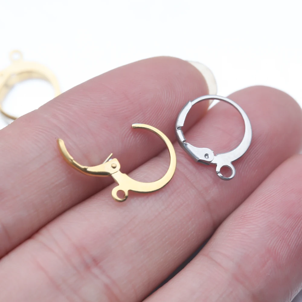 

20Pcs Stainless Steel Gold Round Hoop Earrings Clip Hook French Ear Wire Lever Back for Diy Handmade Jewelry Making Accessories