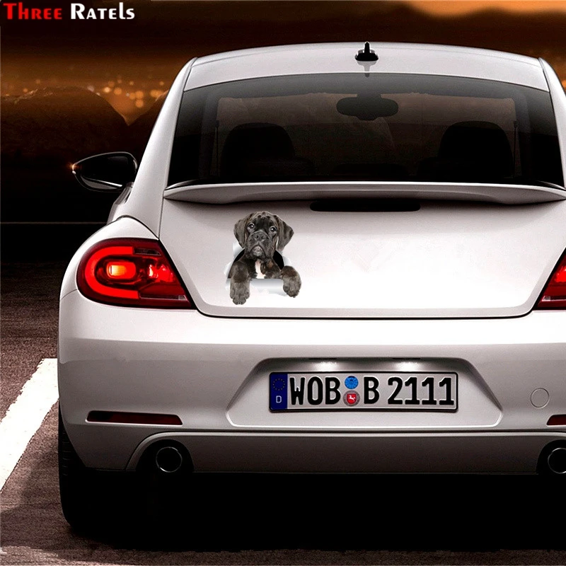 Three Ratels 1066 Adorable Boxer Dog Wall Decals Boxer Dog 3D Sticker Decals For Walls Cars Toilet Window