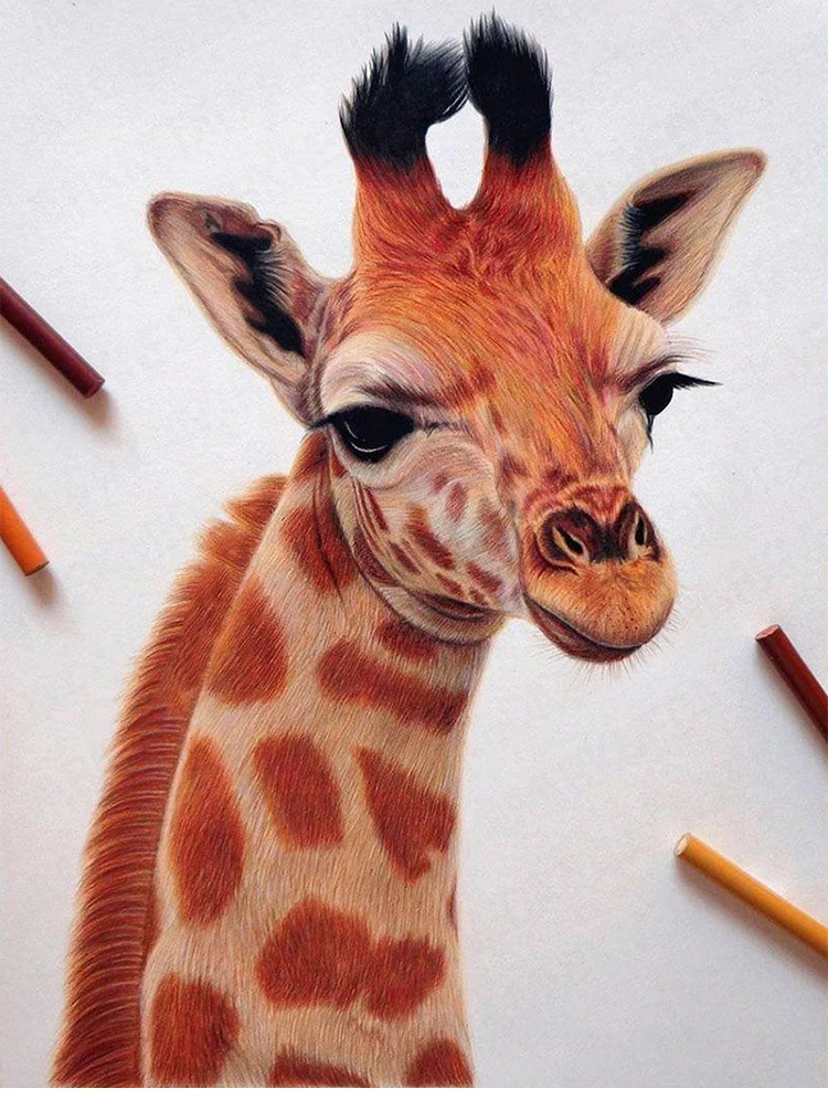 PRISMACOLOR Art Professionelle ölige Buntstifte, einfarbig, Lapis de cor, Zeichnung, Buntstiftzubehör, PC927/938/1092/1093 – Detail 16