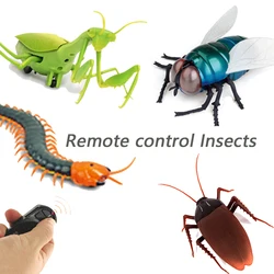 Tricky Remote Control Electric Insect Scorpion Flies Cockroaches Insect Mantis Mouse Centipede Emulation Children's Toys