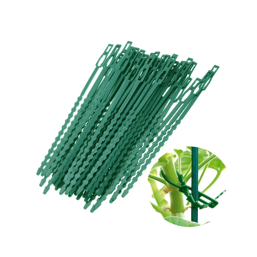 

50pcsPlastic Multipurpose Fish Bone Spur Green Garden Banding Supports Plant Clips To Tie Branches Garden Greenhouse Fixing Tool