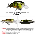 Color C-6pcs