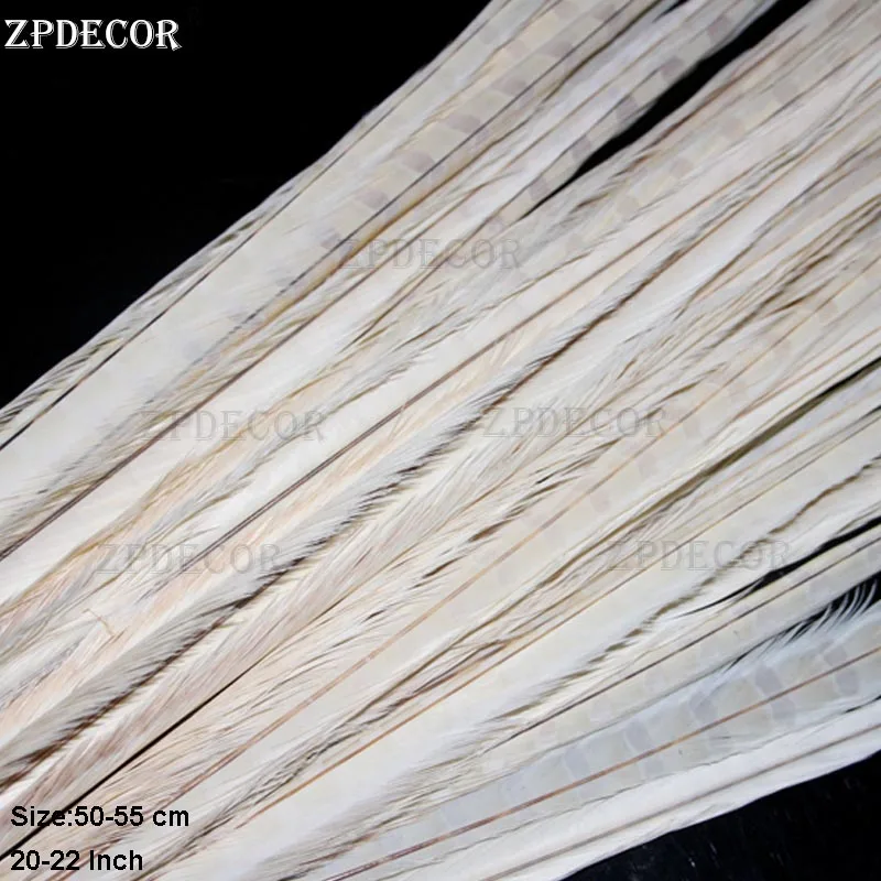 ZPDECOR 50-55cm 20-22 Inch Ringneck Pheasant Feathers Natural Pluma