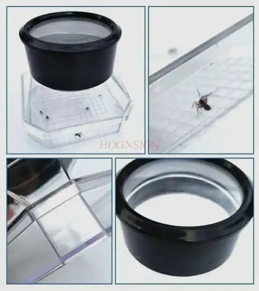 Insect Observatie Doos Biologie Onderwijs Instrument Insect Doos Zwarte Cover Met Vergrootglas