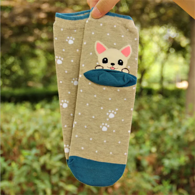 Women Animal Cotton Socks Autumn Winter Colorful Stripe Pug Border Collie Patterned Female Ladies Funny Tube Socks