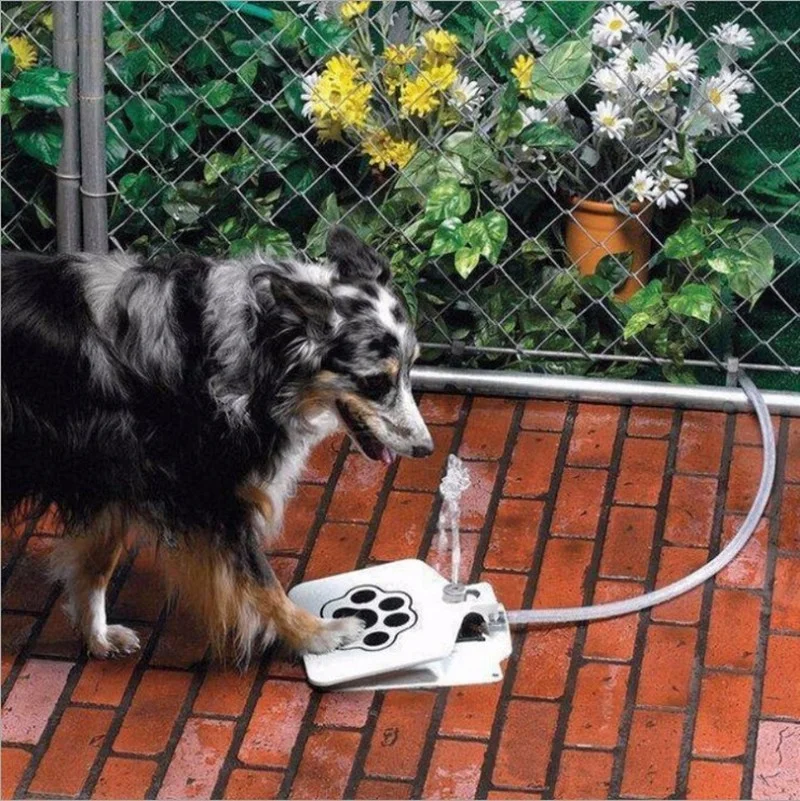 

Outdoor Automatic Dog Water Fountain Step On Toy Dog Drinking Joy With Pets Security Without Electricity For Dogs Drinking