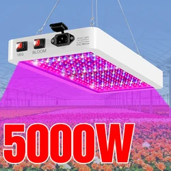 5000W Quantum Board LED Grow Light Phyto Lamp Full Spectrum LED Plants Bulb Indoor 4000W Phytolamp For Flower Seedling Fitolamp