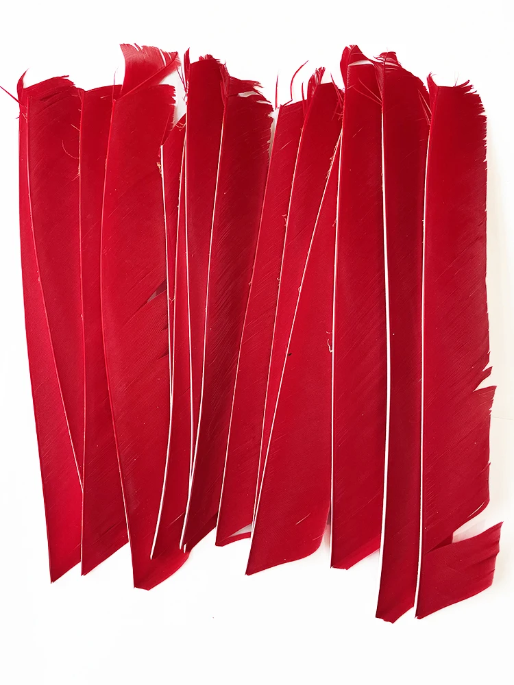 100PCS 18-25CM Volle Länge Türkei Pfeil Federn DIY Jagd Bogen Pfeil Zubehör Bogenschießen Befiederung Rechten flügel Flügel – Detail 12