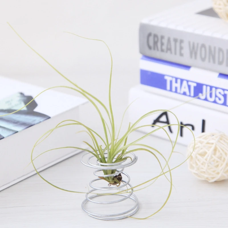 New Stylish And Simple Air Plant Spring Wire Desktop Tillandsia Bracket Miniature Flower Pot Gardening Decorations