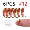 6 Piezas Talla 12