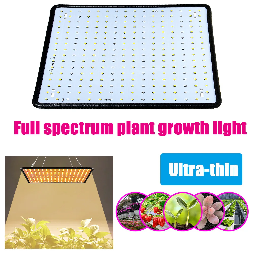 Imagem -04 - Led Full Spectrum Plant Growth Light Luz Interior da Flor Luz Verde Crescimento Vegetal Jardim 5000w