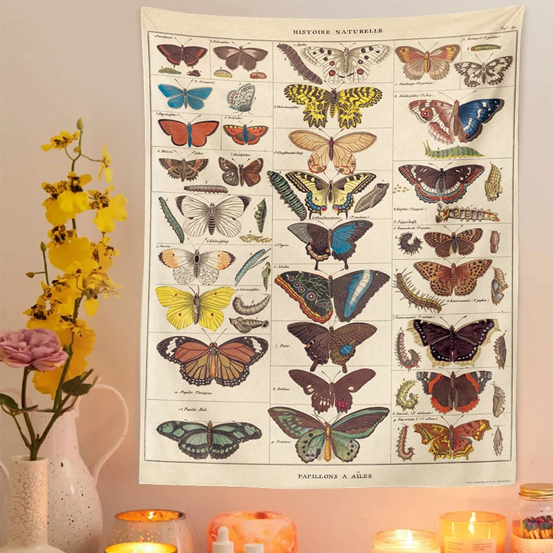 Butterfly Illustration Chart Tapestry Vintage Tapestries Aesthetic Tapestry Chart Tapestry Colorful Tapestry Wall Hanging