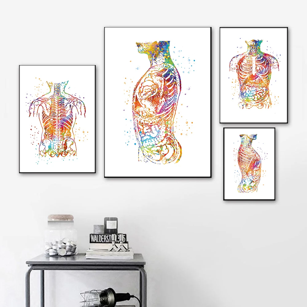 Anatomy Art Human Body Abdomen Wall Art Canvas Painting Nordic Clinical Medical Poster and Print Wall Pictures for Doctor Office