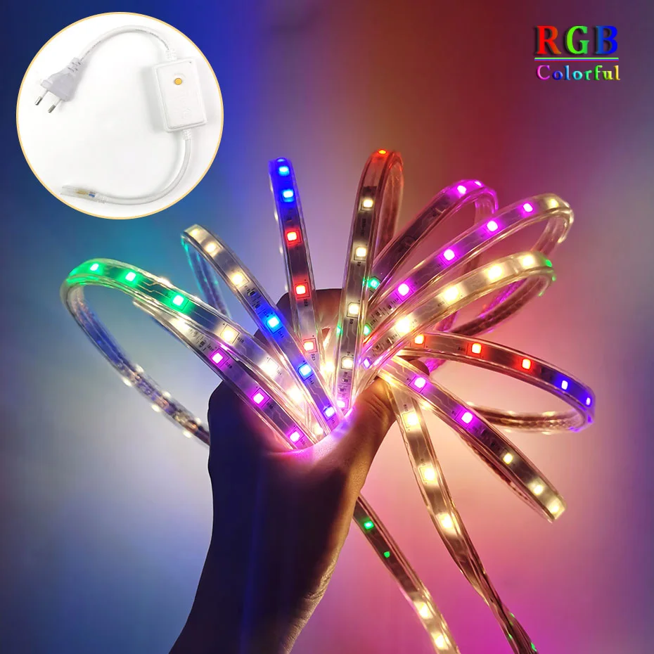 

RGB LED Strip Light 220V Dreamcolor Waterproof 2835 Flexible Tape 30M With EU Plug 8 Modes Control for Home Outdoor Decoration