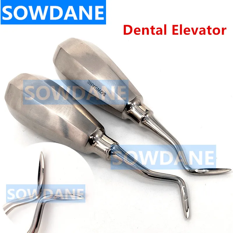 Dental Minimally Invasive Tooth Extraction Teeth Elevator Dental Instruments Curved Right Left with Shape Tips