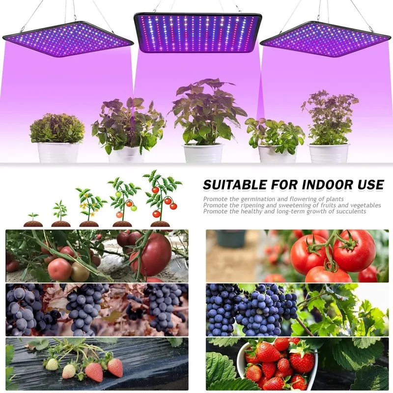 EU/US/AU 1000W Phytolamps LED Grow Light Full Spectrum Plant Lighting LED Quantum Fito Lamps For Indoor Flower Growth Tent Box