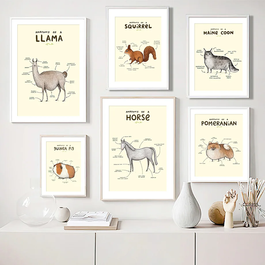 Pug Dog Alpaca Horse Anatomy Wall Art Canvas Painting Nordic Posters And Prints Pictures For Veterinary Hospital Home Decoration