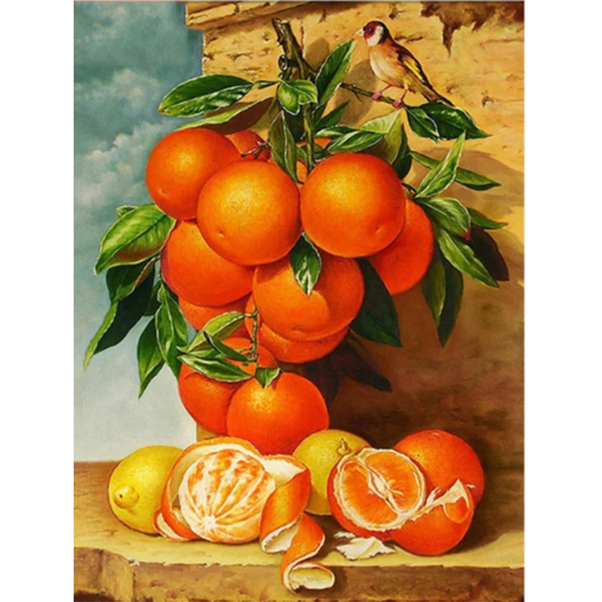 5D Diamond Painting Plant DIY Square Round Diamond Orange and Bird Picture Cross Stitch Set Mosaic Home Decoration Crafts FH900