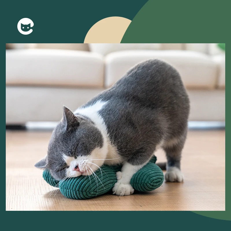 

Cat toy cactus cat Toy cat Peppermint toy cat toy bite and grind teeth Cat decompresses claws