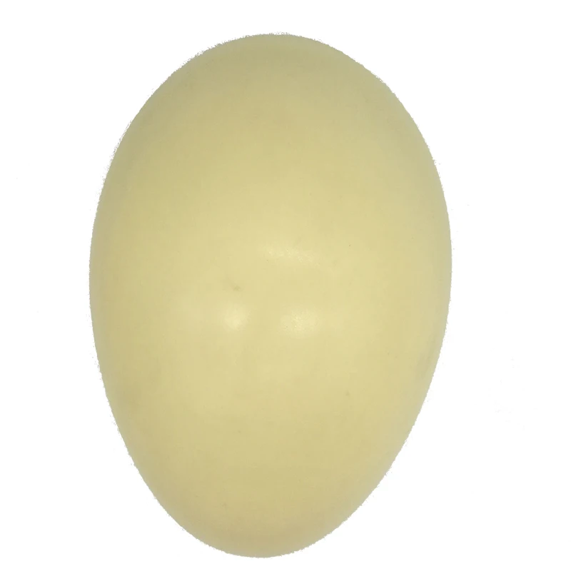 Plastic Wood Half Head for Wig Making