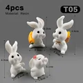4 piezas Rabbit-T05