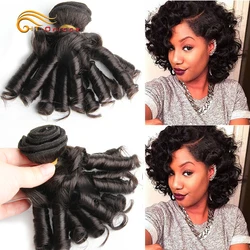 6pcs/lot Curly Hair Bundles Brazilian Double Drawn Human Hair Natural Color Funmi Hair Remy Hair Extensions