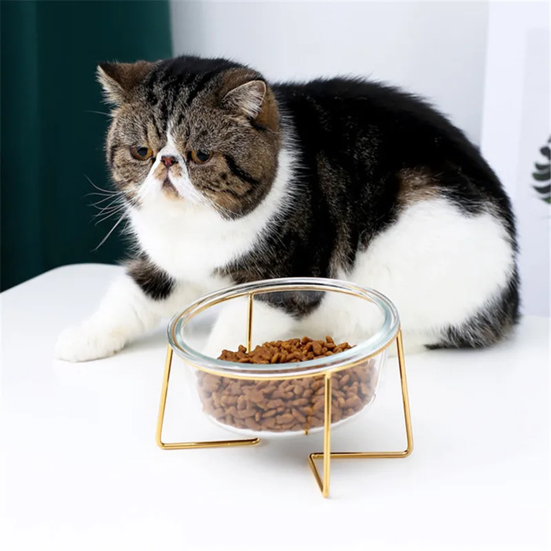 New Non-slip Cat Bowls Glasses Single Bowls with Gold Stand Pet Food&Water Bowls for Cats Dogs Feeders Pet Products Cat Bowl