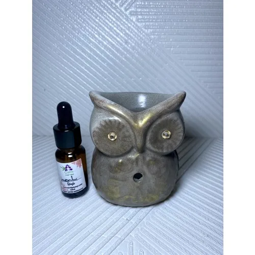 Talya Art Design Concrete Color Above Tumbled Gold Color Owl Censer and Lavender Oil