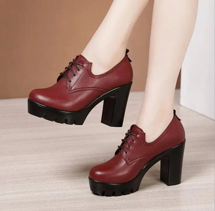 Women Pumps Shoes Deep Mouth Pointed Toe Leather Shoes Spring Autumn Black High Heels Fashion Lace up Office Shoes Ankle Boots