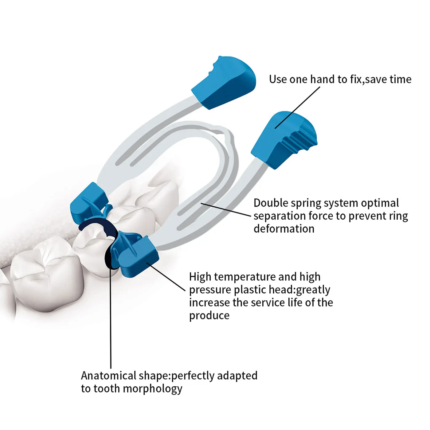 AZDENT Dental Sectional Contoured Matrix Clip Matrices Clamps Wedges Dentistry Spring Clip Metal Ring Lab Auxiliary Tools