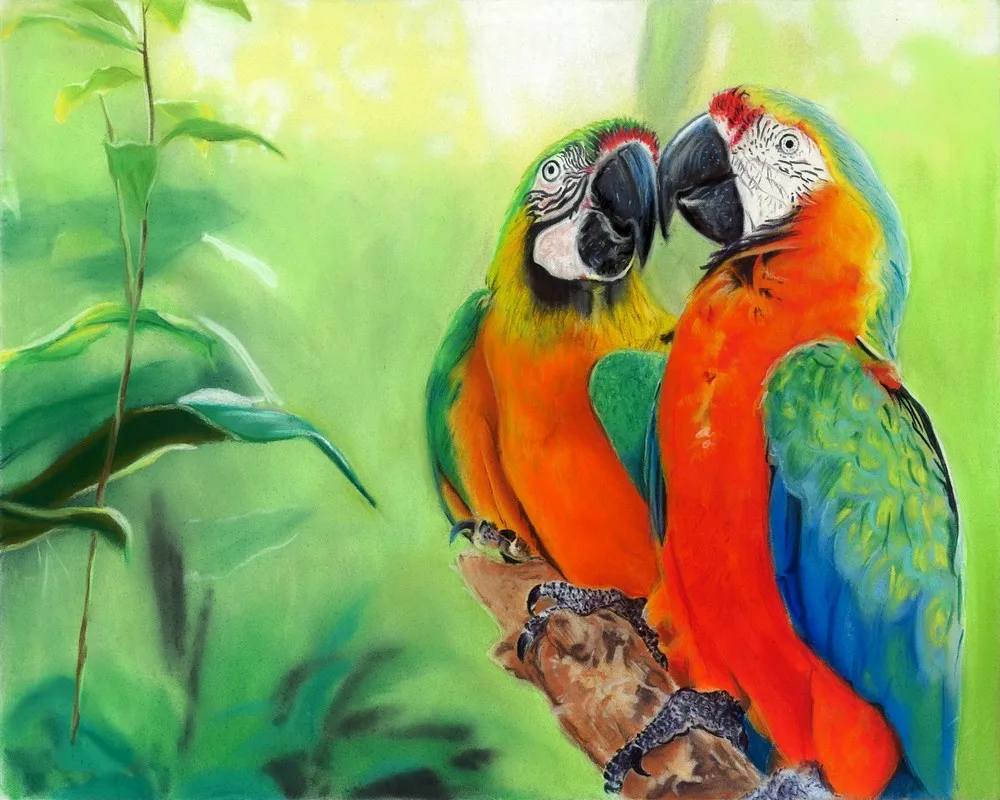 Jmine Div-5D Colorful Parrot Full Diamond Painting Cross Stitch Kits 3D Animal Paint by Diamonds High Quality