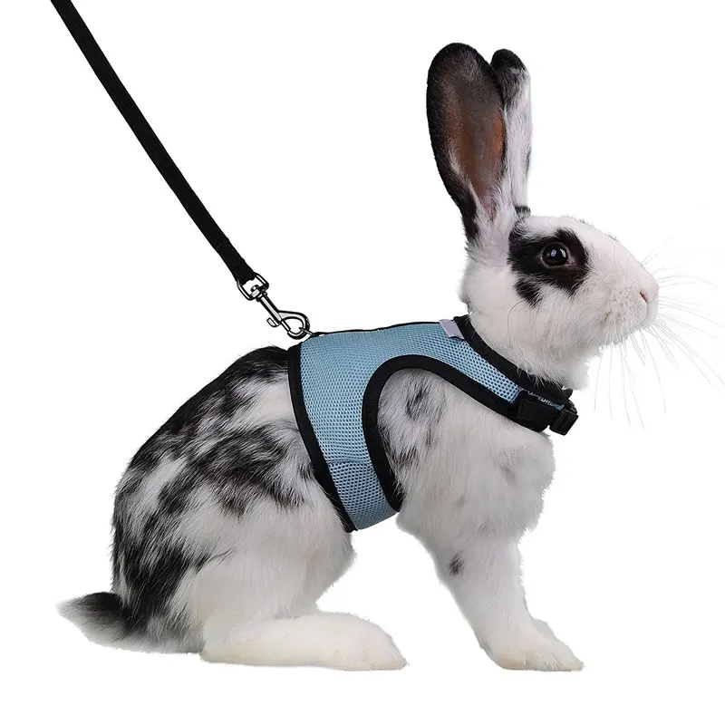 

Cute Hamster Rabbit Pet Harness with Lead Set Ferret Guinea Pig Small Animal Pet Walk Lead Leash Bunny Little Pets XS-L 4 Colors