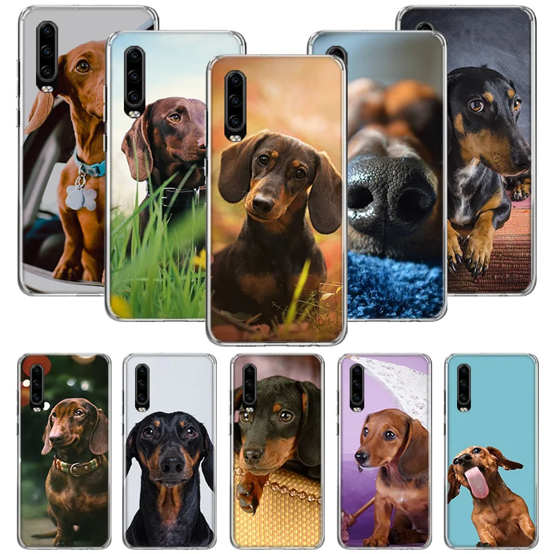 Dachshund Teckel Dackel Dog Phone Case for Huawei P30 P20 P40 P50 P10 Mate 40 30 10 20 Lite Pro Silicone Soft Shell Coque Cover