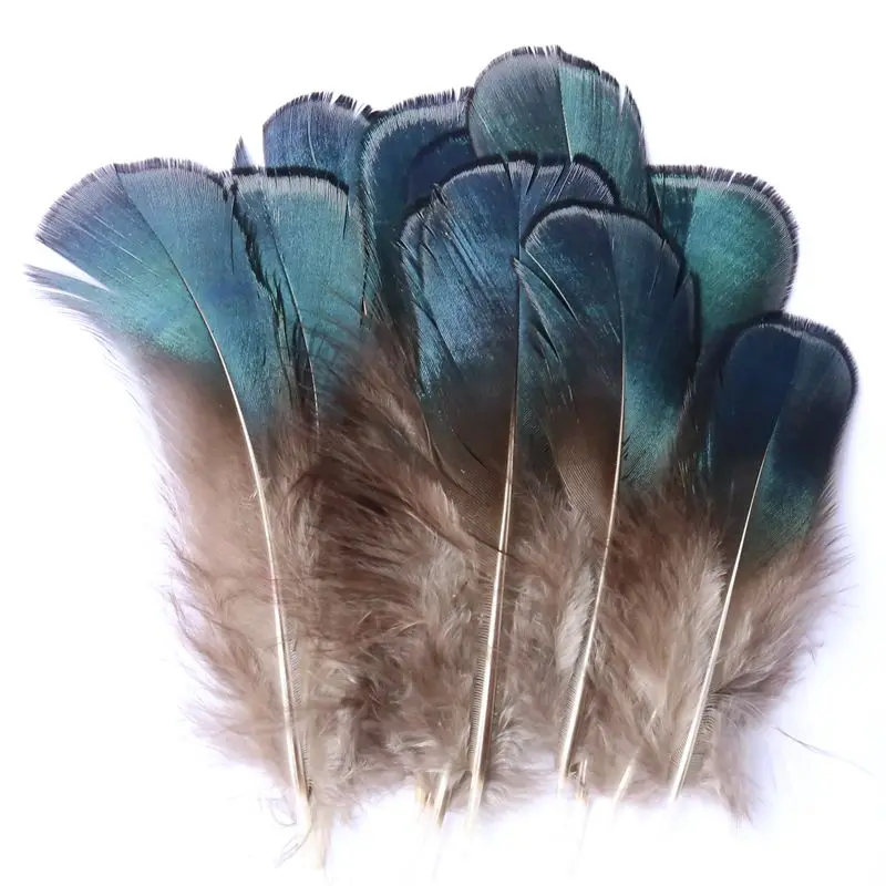 50Pcs/Lot 4-8cm Lady Amherst Iridescent Blue Pheasant Plumage Feathers Crafts Jewelry Fly Tying,Lady Amherst Feathers