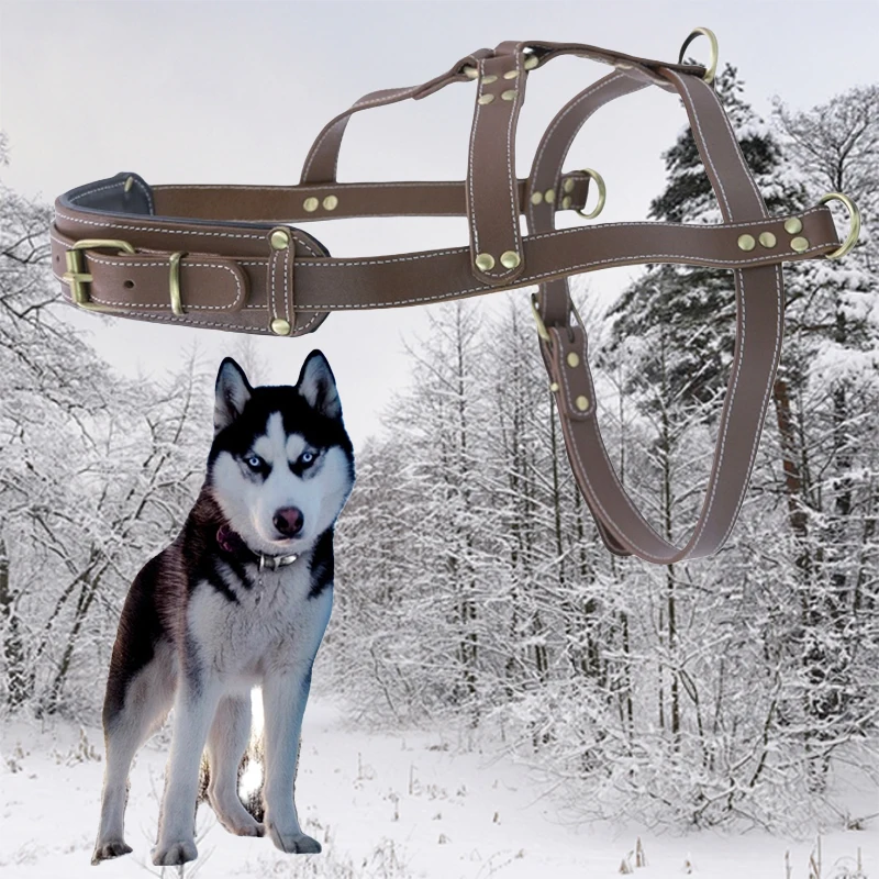 

Sled Dog Harness Leather Dog Sled Weight Pulling Harness Skijoring Scootering Dog Sled Harness Husky Samoyed Alaska Malamute