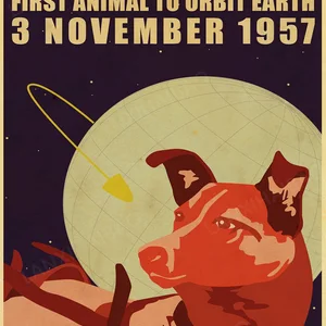 En iyi 10 satış petaca cccp-no. 8