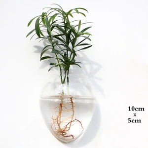Hängende Wandglasblumen, Aquarium, Aquariumbehälter, Pflanzgefäße, Hausgartendekoration, Mode -Terrarium 6 Hauptverkaufsschiffe hängen Wand - №4