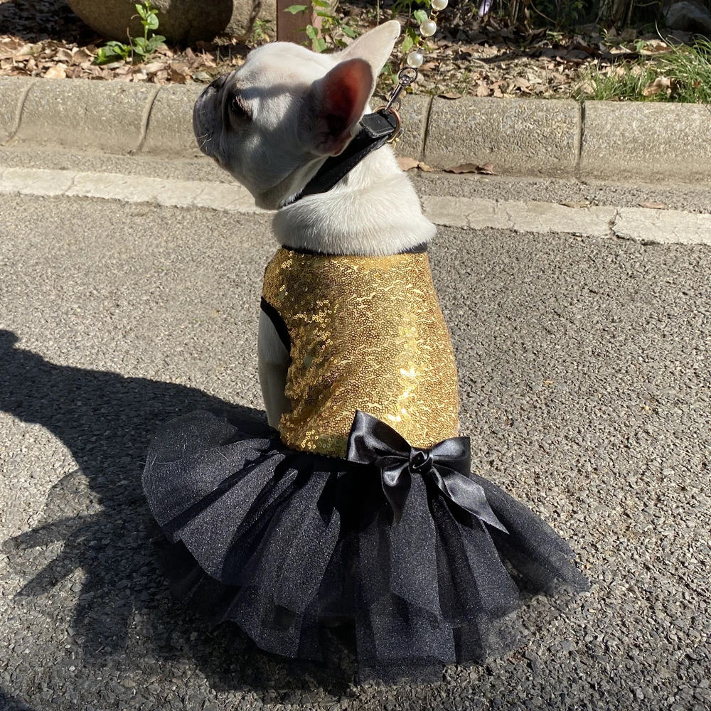 Chihuahua Meme Tutu: The Ultimate Guide to Buying the Perfect Sequined Dog  Dress for Your Tiny Pet