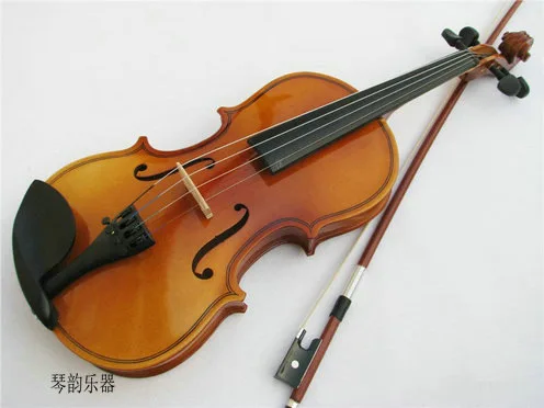 Popularize Solid Wood Plywood Violin