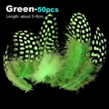 50pcs Green