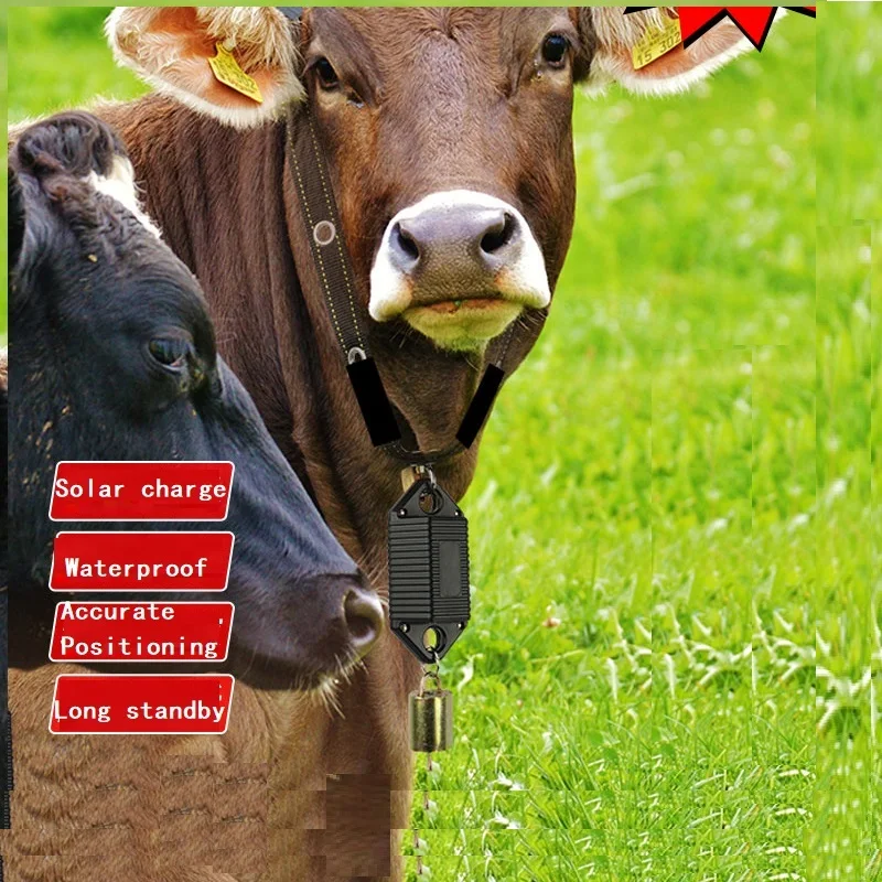 Collier anti-vol pour le bétail, contrôle de l'eau, gsm, gps, moniteur de prix, pour vache à énergie solaire, RYDB39