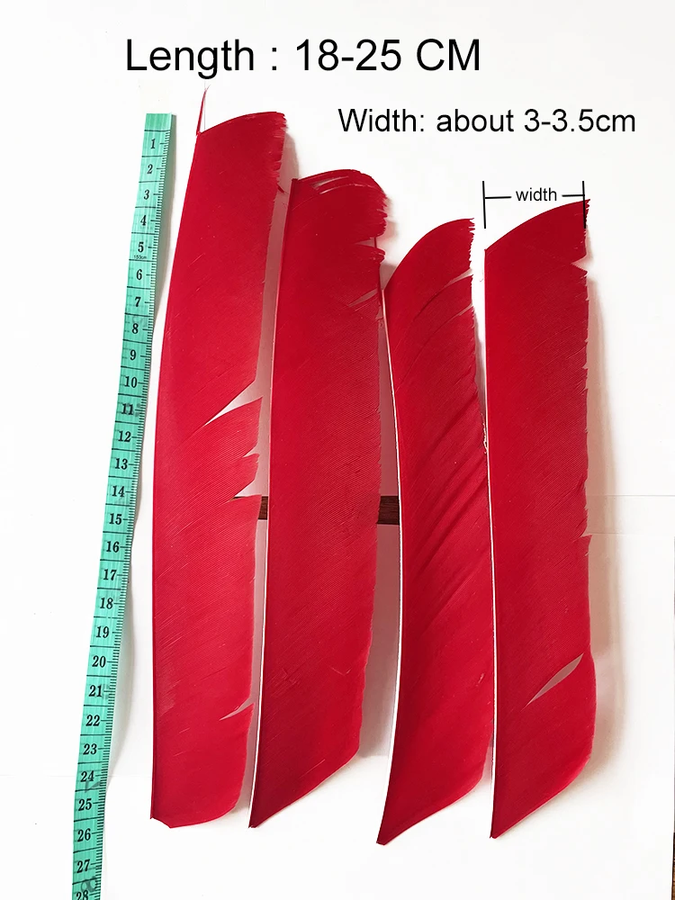 100PCS 18-25CM Volle Länge Türkei Pfeil Federn DIY Jagd Bogen Pfeil Zubehör Bogenschießen Befiederung Rechten flügel Flügel – Detail 1