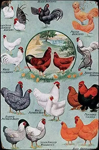 

Цыплята, ферма, человек, пещера, декор, бар, искусственная курица, металлический жестяной знак, настенная табличка для дома, кухни, бара, кафе, магазин 8x12 дюймов