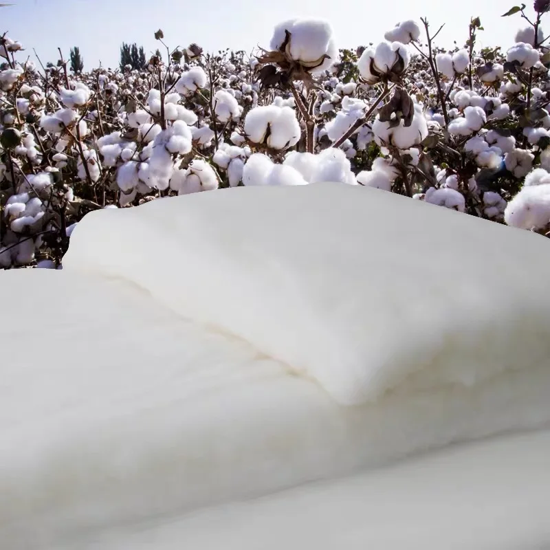 Xinjiang Cotton Quilt Comforter Filling, 100% Cotton, Recyclable, Natural, Long-Staple Cotton, 1 Roll, 1kg