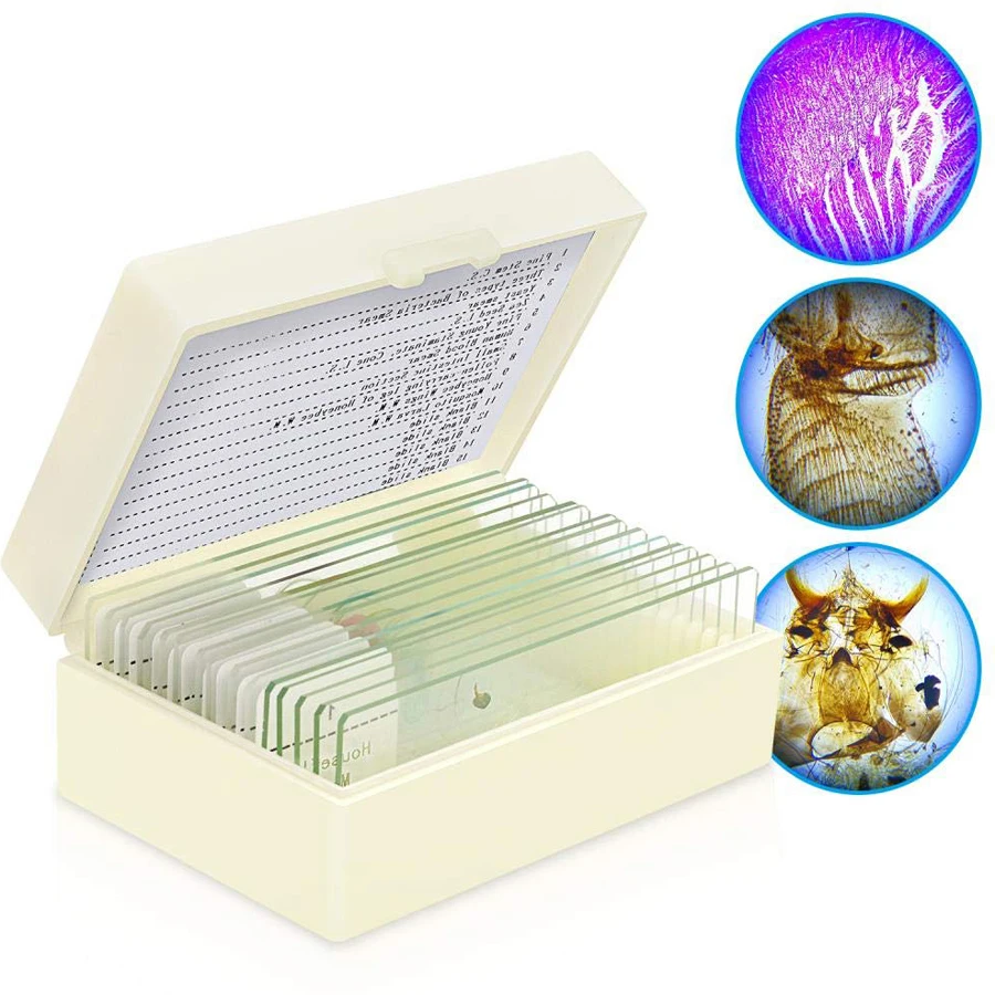 Mixed Insect Antennae Animal Blood Plant Cell Basic Prepared Microscope Pprepared slides