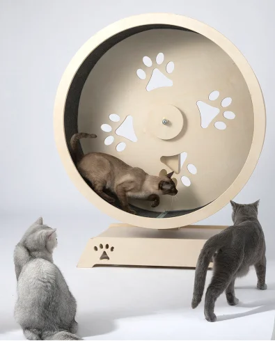 

New pet cat trendclasses to exercise pets, professional design, safe, environmentally friendly pet cat treadmill