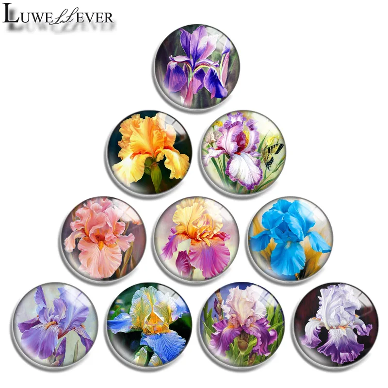 

12mm 14mm 16mm 20mm 25mm 30mm 649 France Iris Mix Round Glass Cabochon Jewelry Finding 18mm Snap Button Charm Bracelet